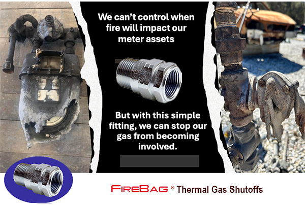 Fas Regulator and Meter under fire